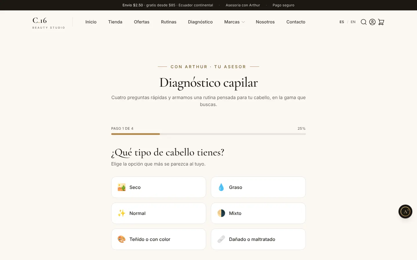 El diagnóstico: cuatro preguntas, una barra de avance y Arthur al lado.
